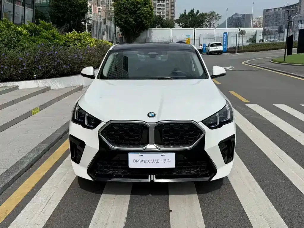 BMW X2 (Import) 2024 из CN, фото 2