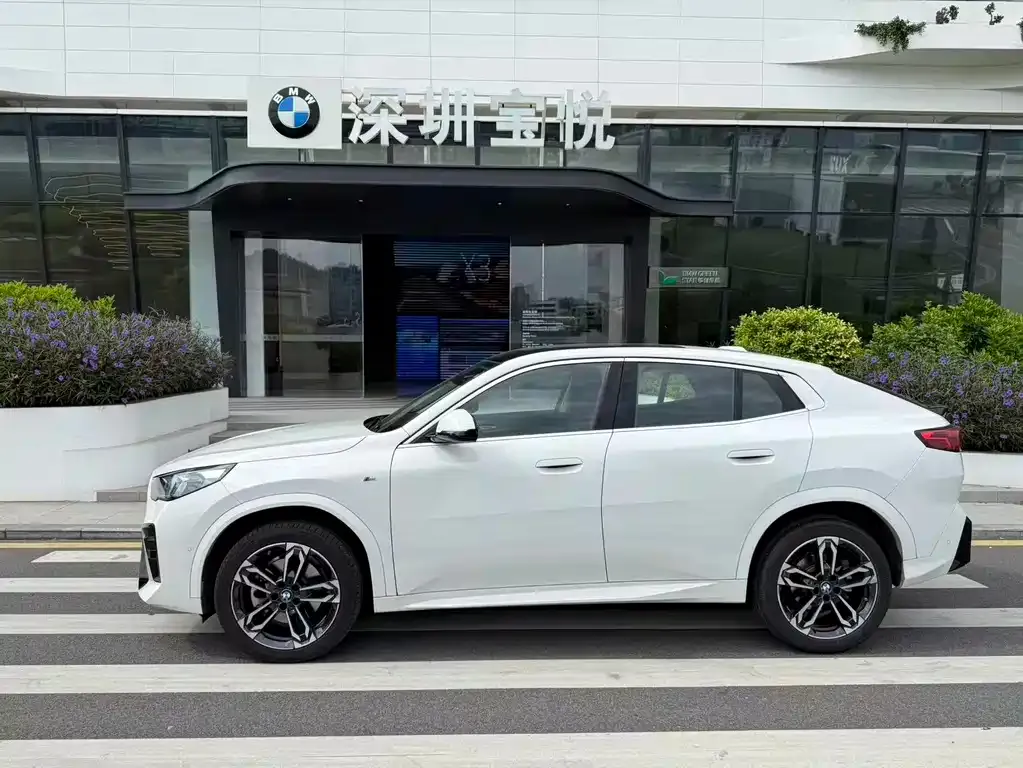 BMW X2 (Import) 2024 из CN, фото 3