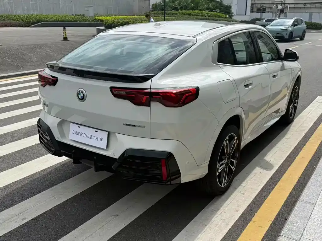 BMW X2 (Import) 2024 из CN, фото 4