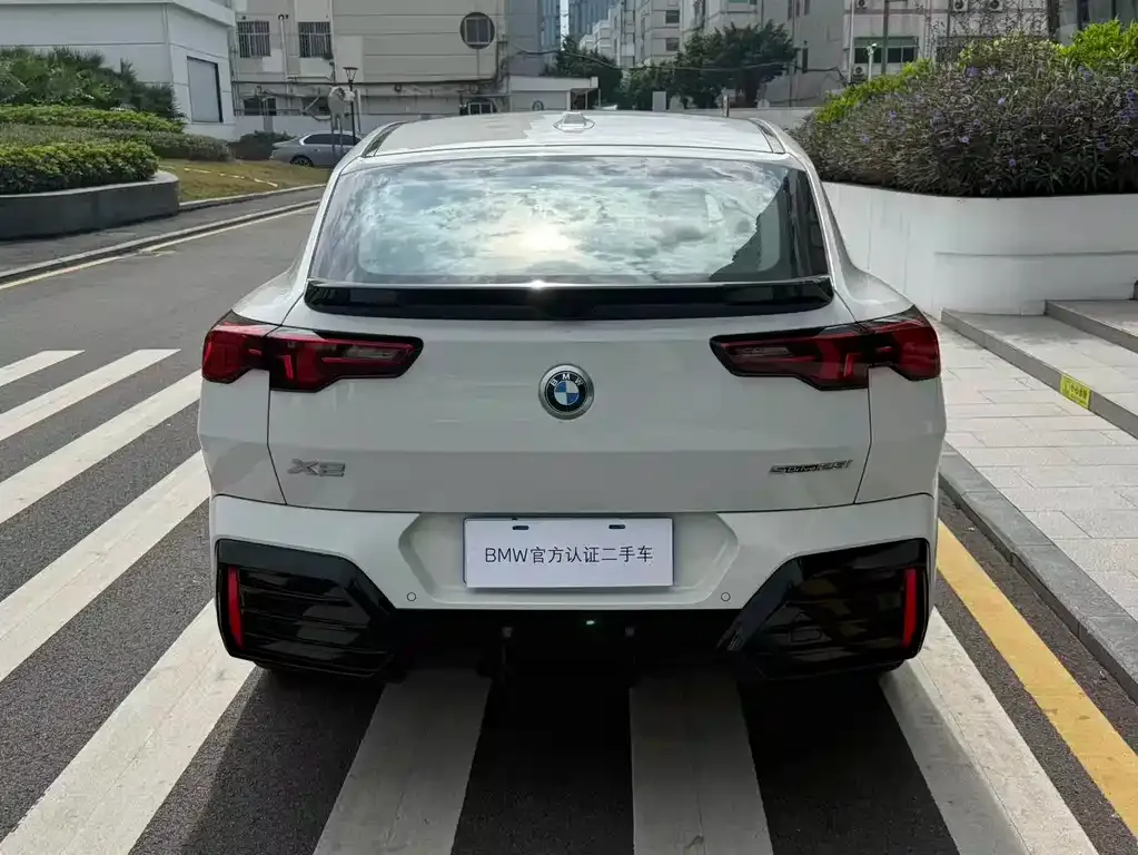 BMW X2 (Import) 2024 из CN, фото 5