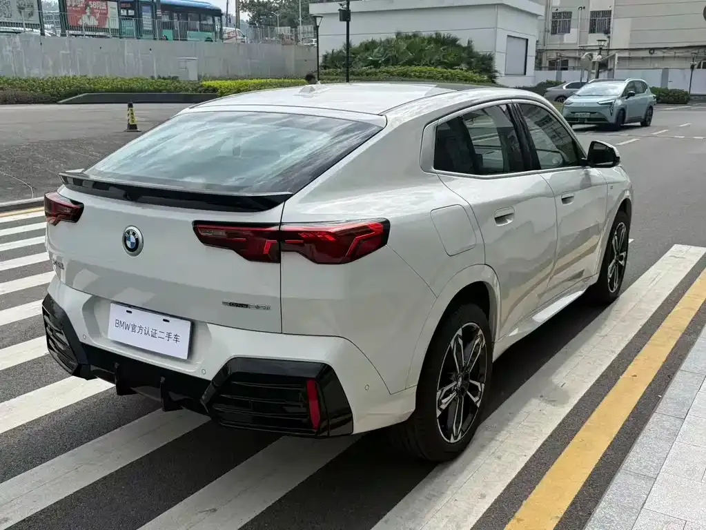 BMW X2 (Import) 2024 из CN, фото 6