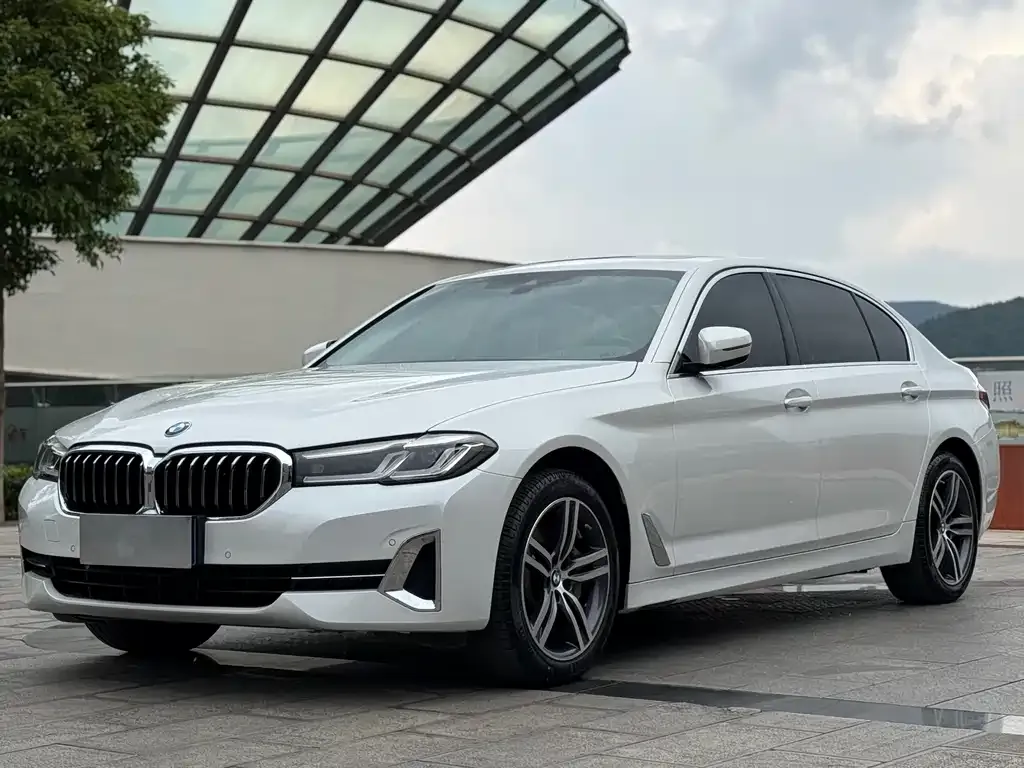 BMW 5 Series 2023 из CN, фото 1