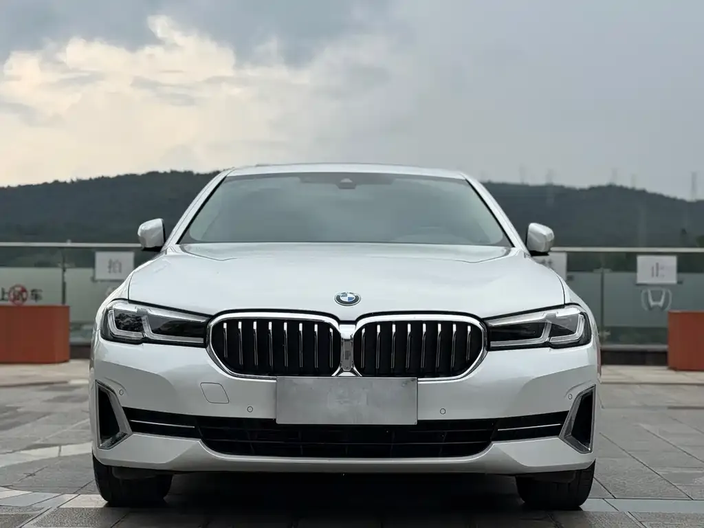 BMW 5 Series 2023 из CN, фото 2