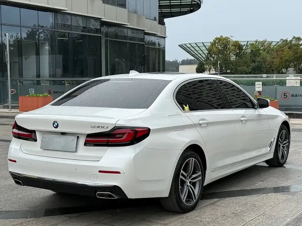 BMW 5 Series 2023 из CN, фото 6