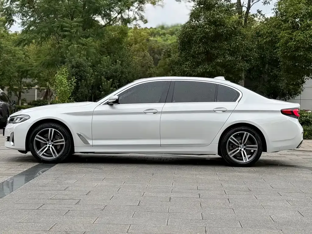 BMW 5 Series 2023 из CN, фото 7
