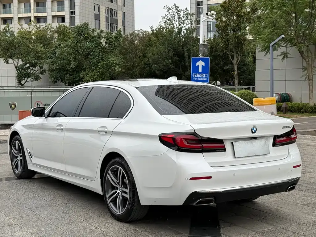 BMW 5 Series 2023 из CN, фото 8