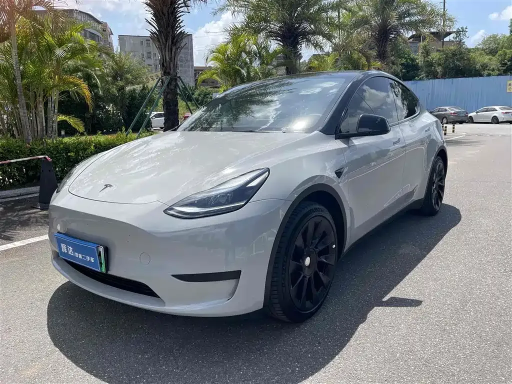 Tesla Model Y — фото 1
