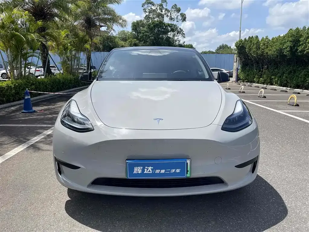 Tesla Model Y — фото 2