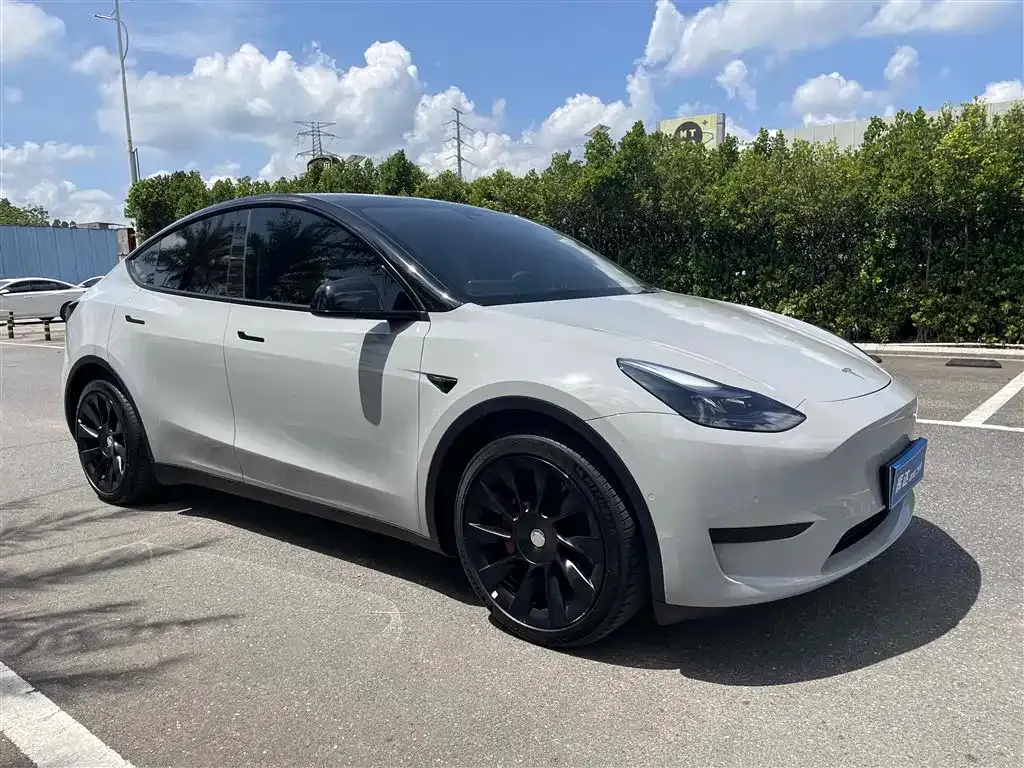 Tesla Model Y — фото 3