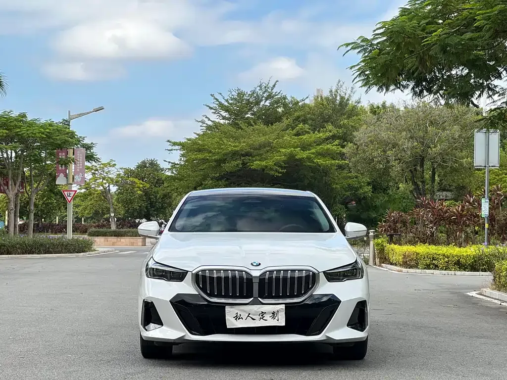 BMW 5 Series 2024 из CN, фото 2