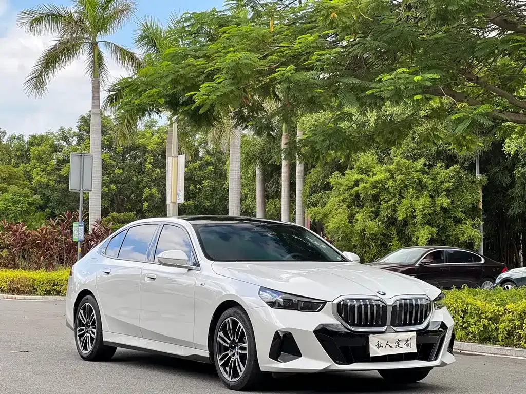 BMW 5 Series 2024 из CN, фото 3