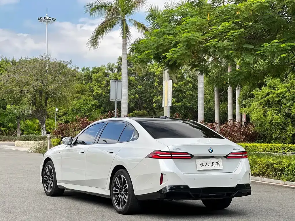 BMW 5 Series 2024 из CN, фото 4