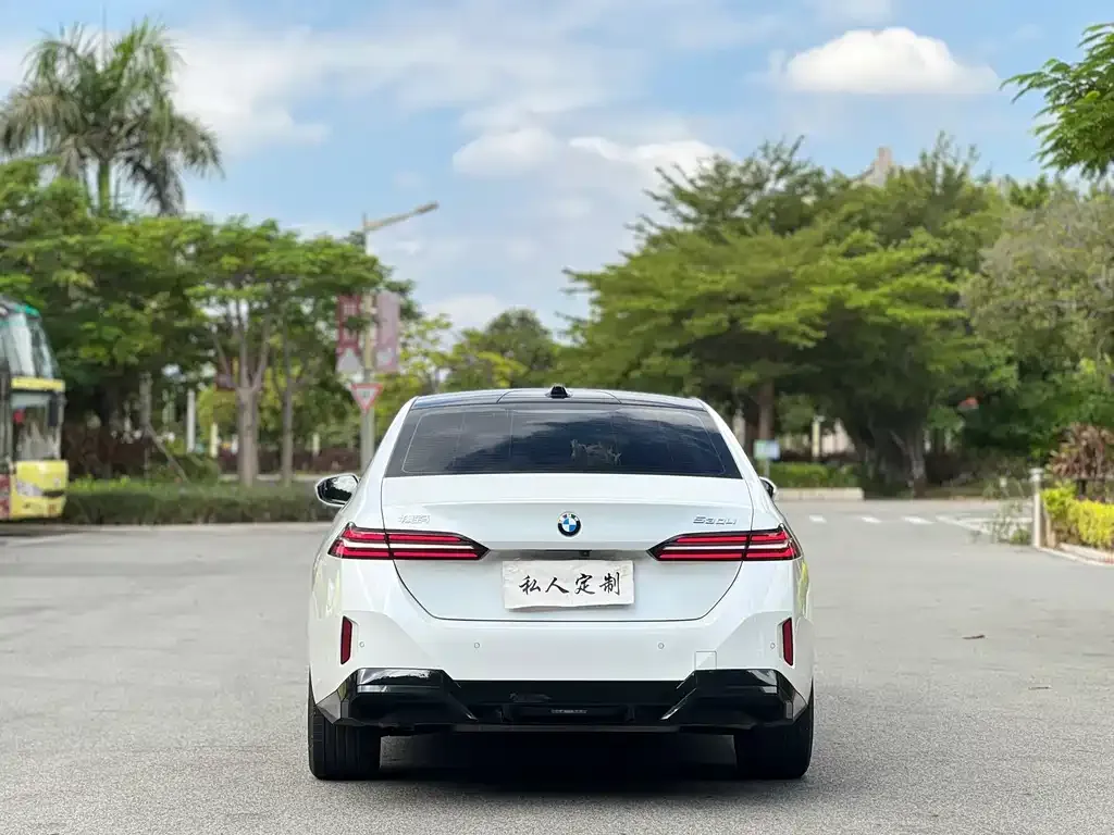 BMW 5 Series 2024 из CN, фото 5