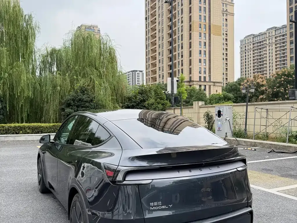 Tesla Model Y 2025 из CN, фото 4