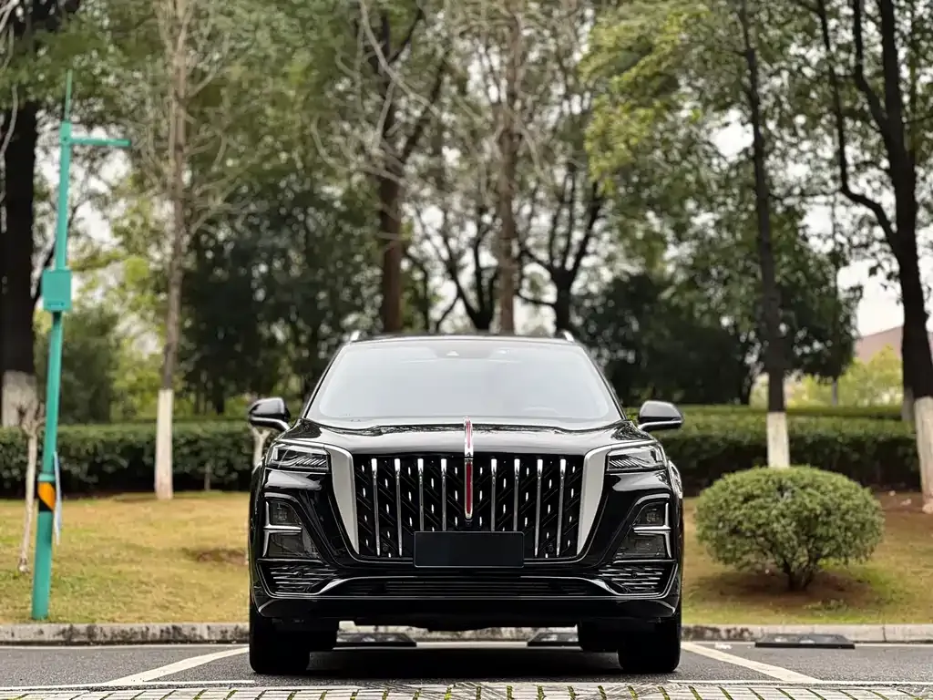 Hongqi HS5 2024 из CN, фото 2