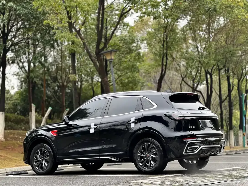 Hongqi HS5 2024 из CN, фото 7