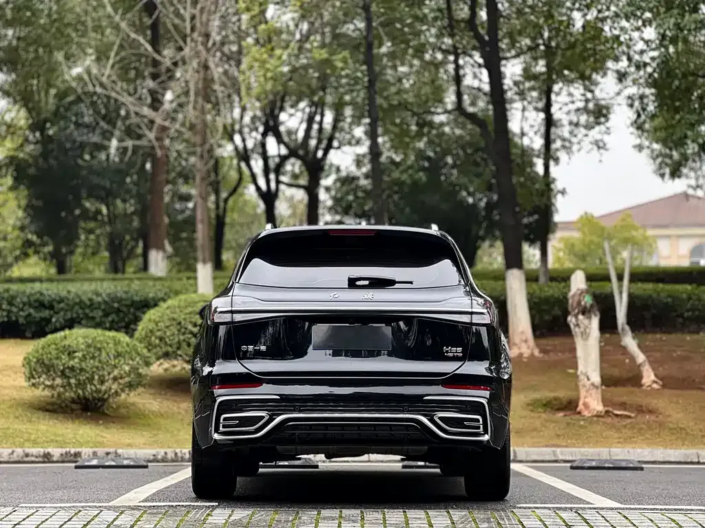 Hongqi HS5 2024 из CN, фото 8