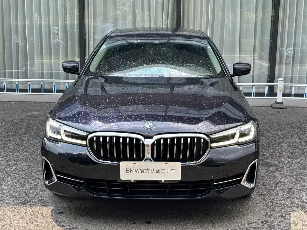 BMW 5 Series 2022 из CN, фото 2