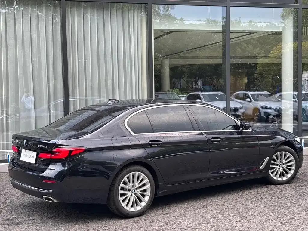 BMW 5 Series 2022 из CN, фото 5
