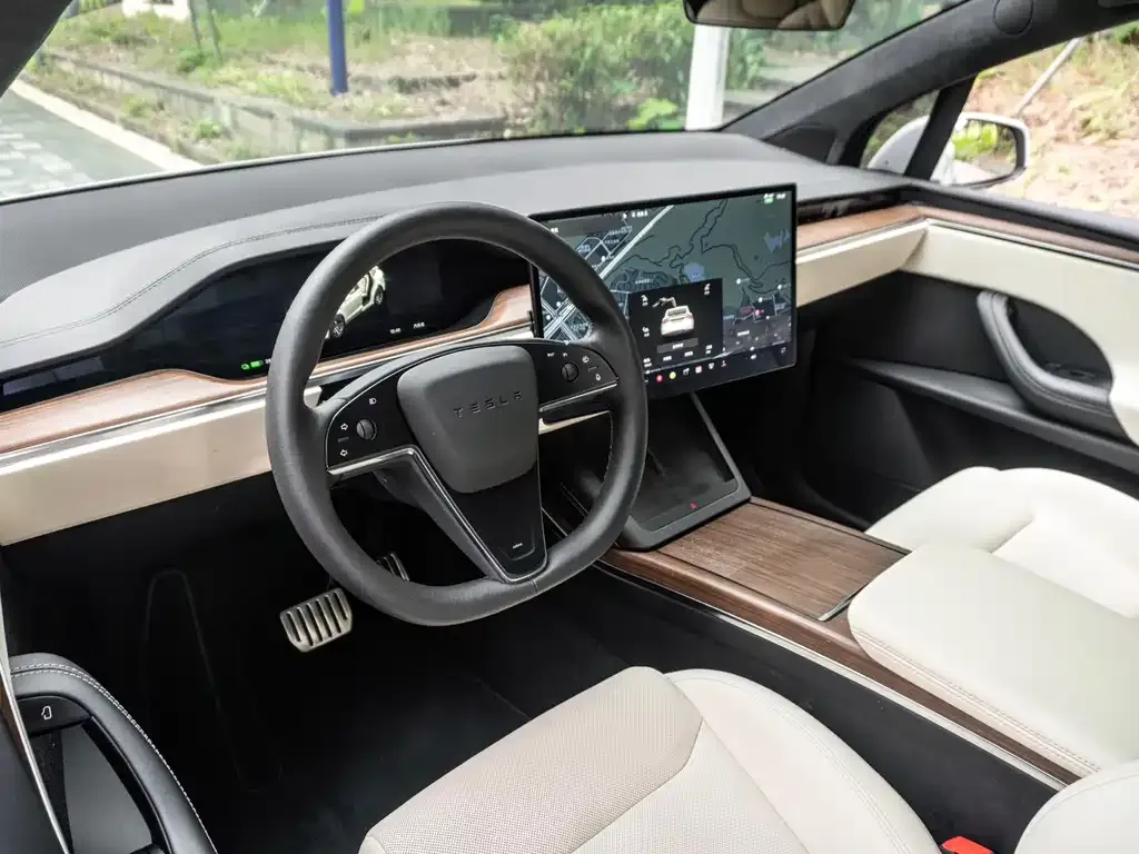 Tesla Model X — фото 10