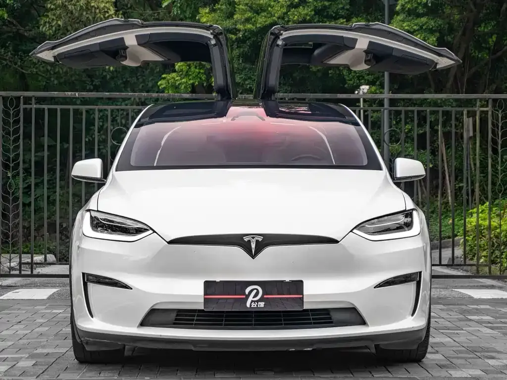 Tesla Model X — фото 2