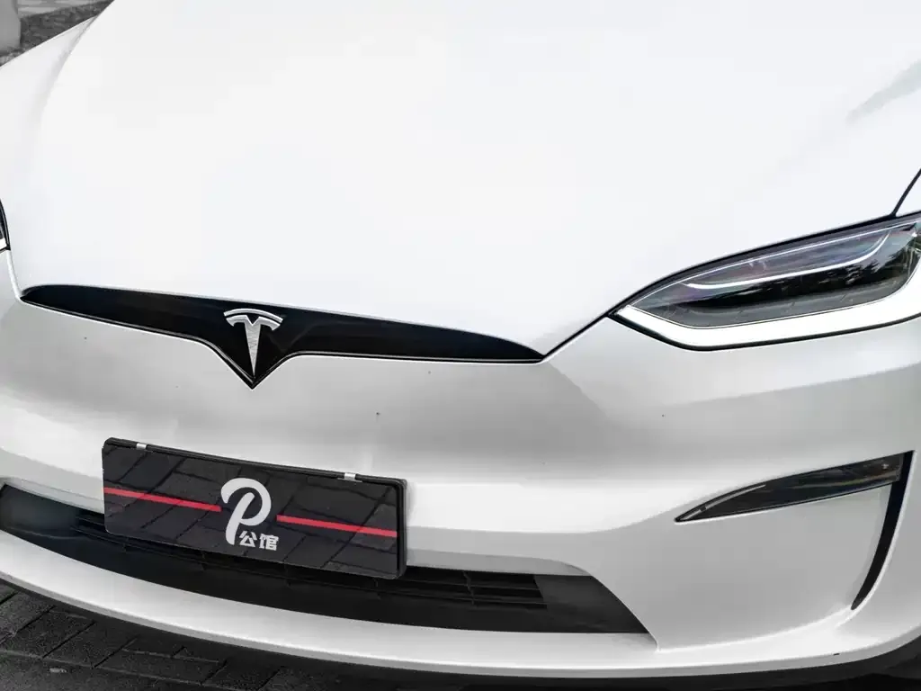 Tesla Model X — фото 8