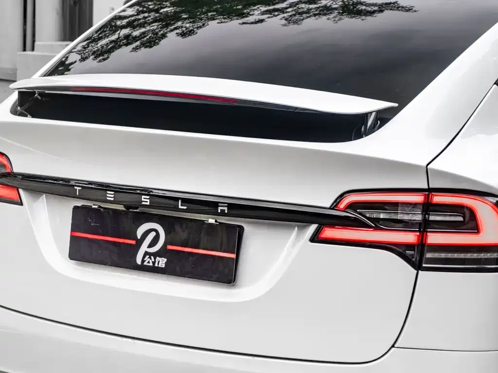 Tesla Model X — фото 9