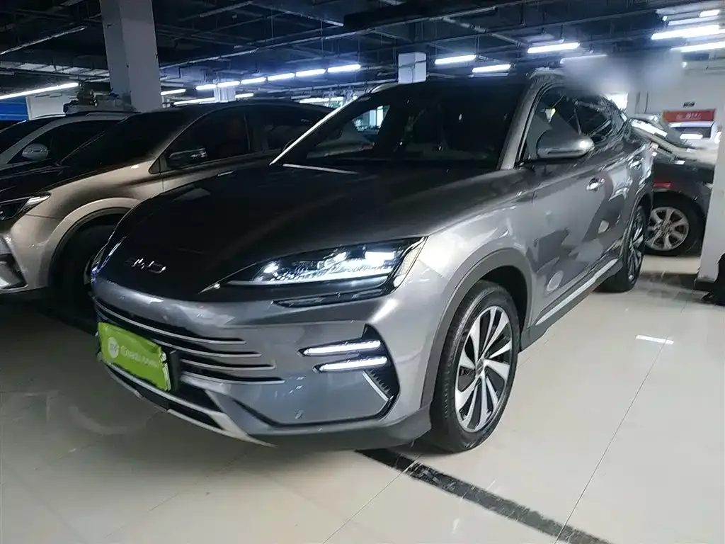 BYD PLUS New Energy 2023 из CN, фото 2