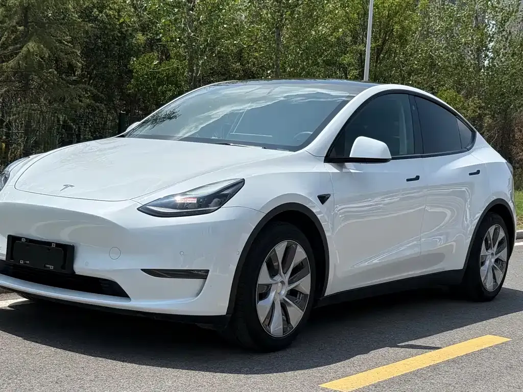 Tesla Model Y — фото 1