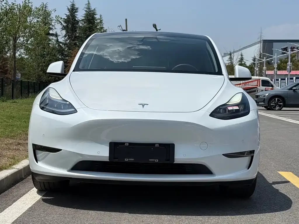 Tesla Model Y — фото 2