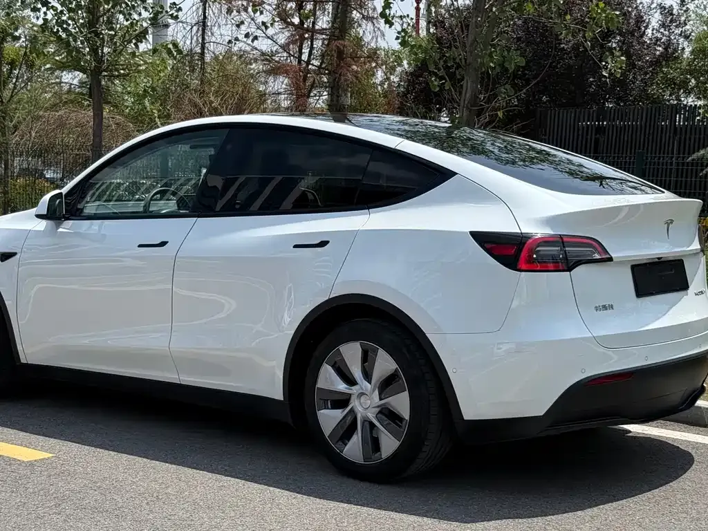 Tesla Model Y — фото 5