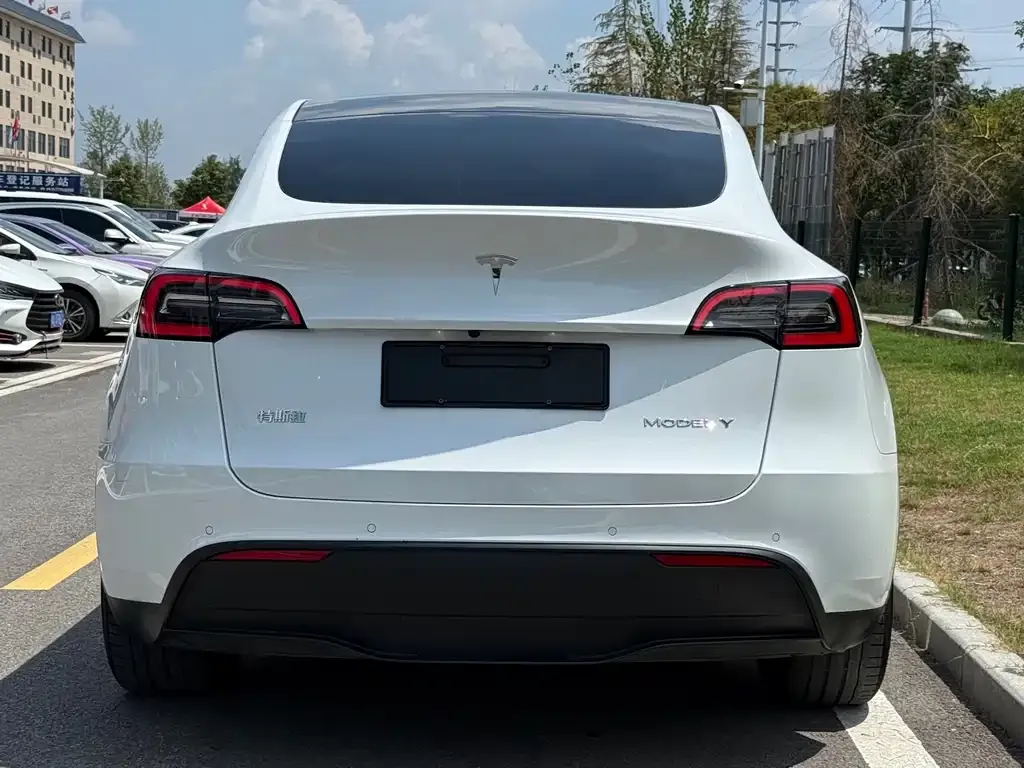 Tesla Model Y — фото 6