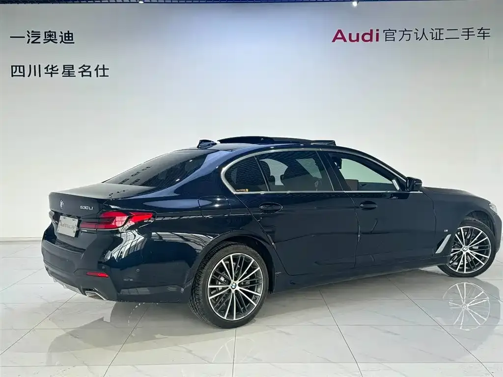 BMW 5 Series 2023 из CN, фото 4
