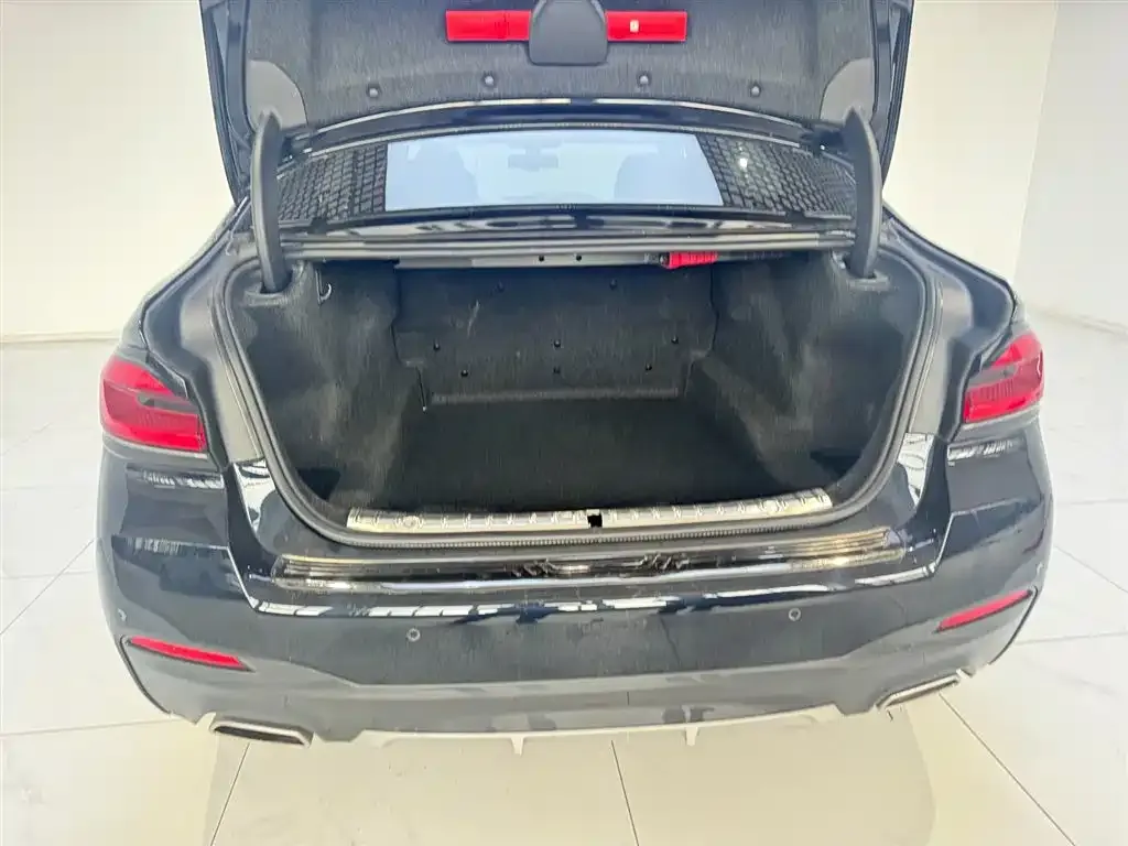 BMW 5 Series 2023 из CN, фото 6