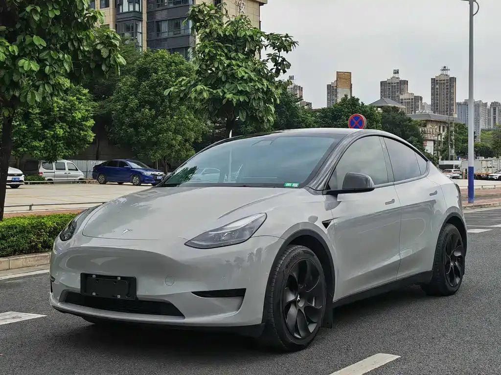 Tesla Model Y — фото 1