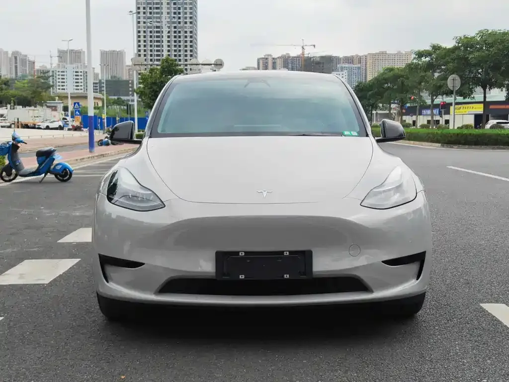 Tesla Model Y — фото 2