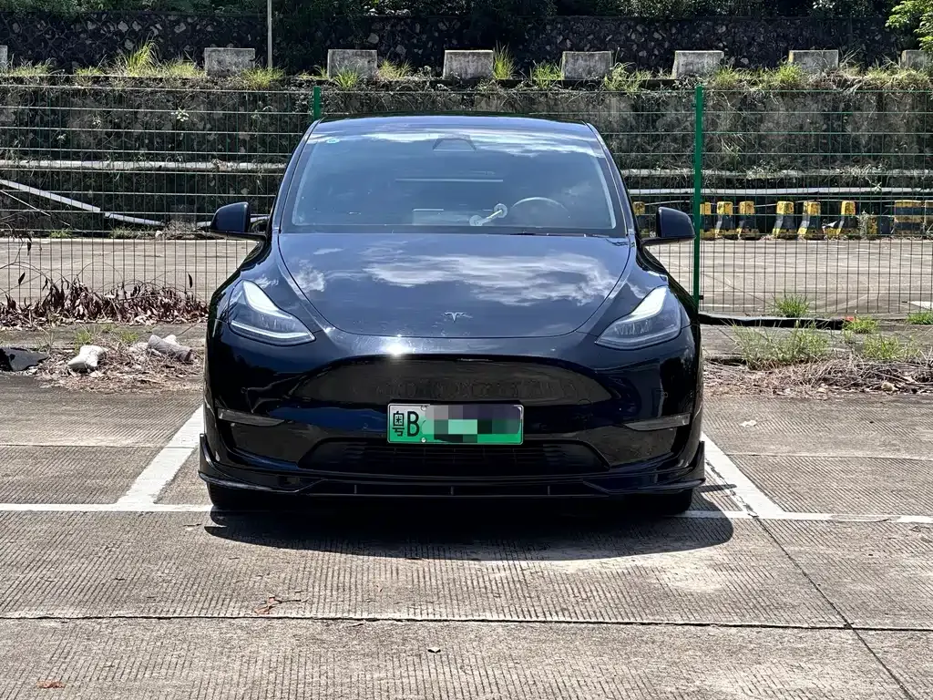Tesla Model Y — фото 2