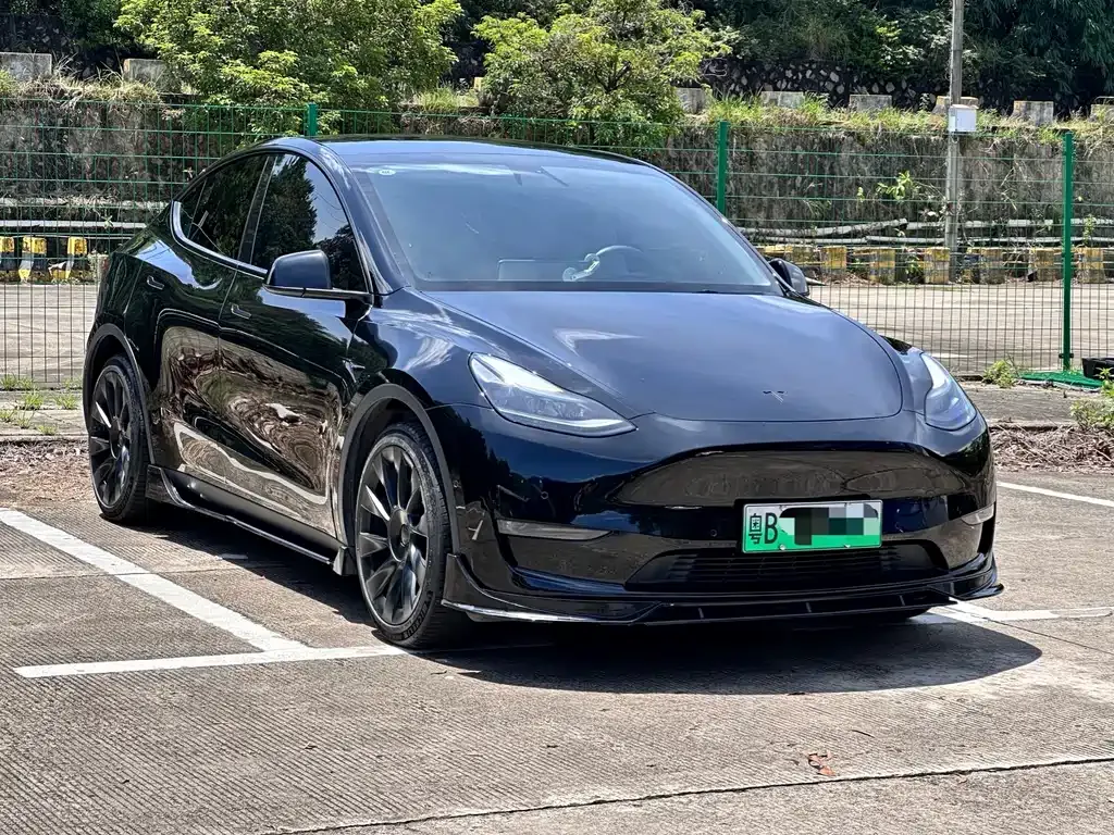 Tesla Model Y — фото 3