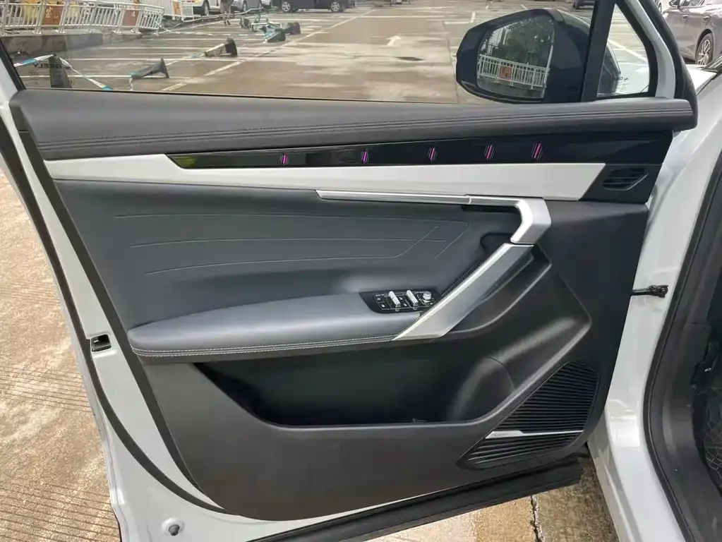 [object Object] Boyue L 2024 из CN, фото 6