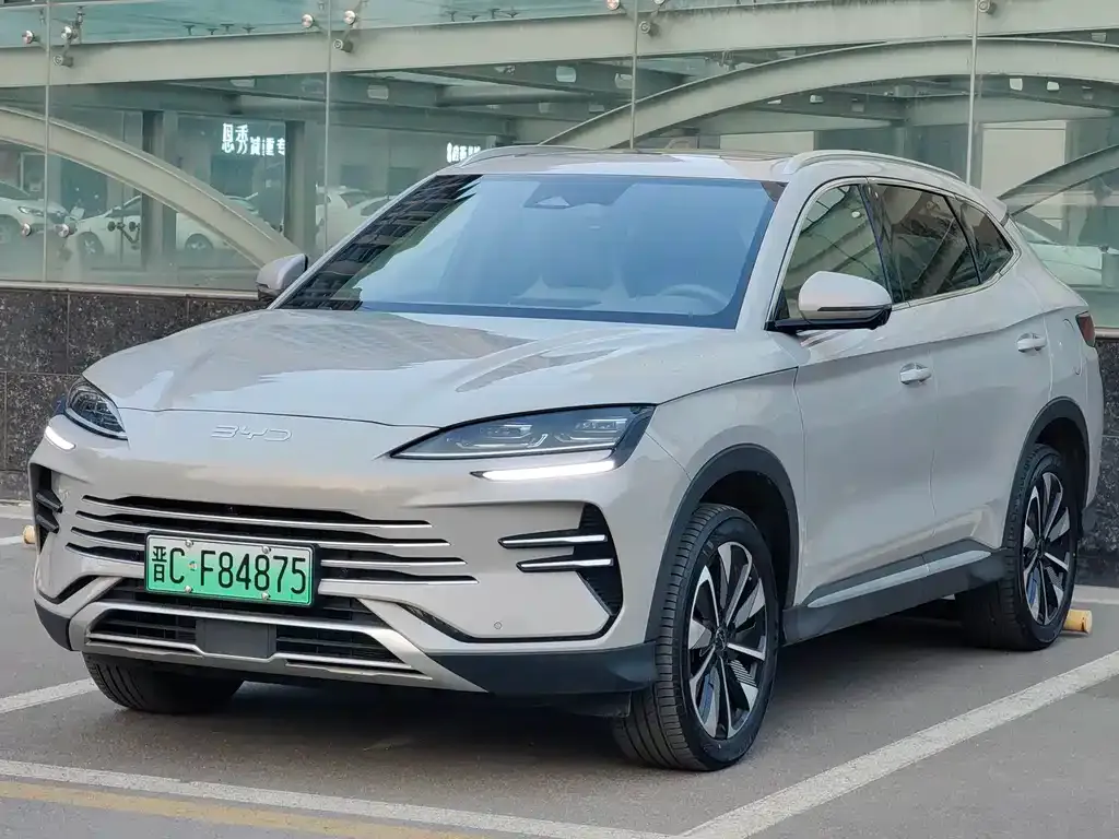 BYD PLUS New Energy 2024 из CN, фото 1