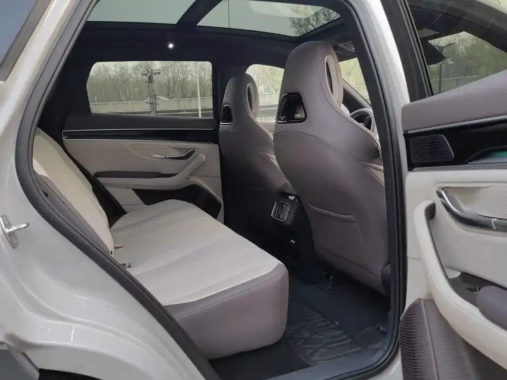 BYD PLUS New Energy 2024 из CN, фото 7