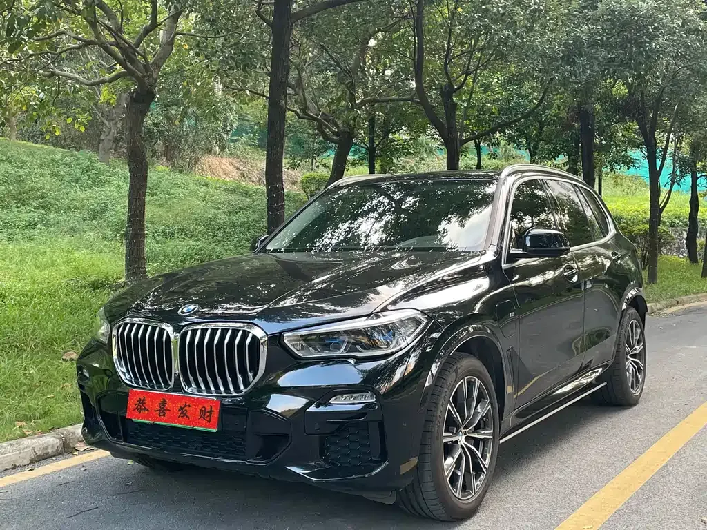 BMW X5 New Energy (Import)