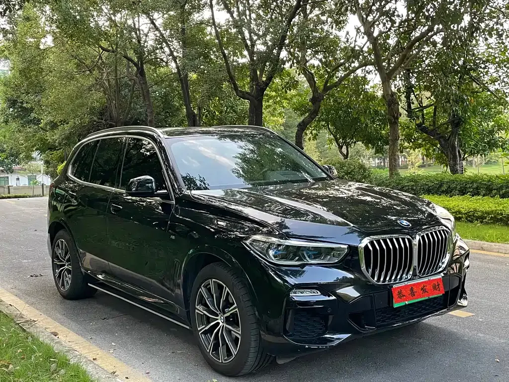 BMW X5 New Energy (Import) 2021 из CN, фото 2