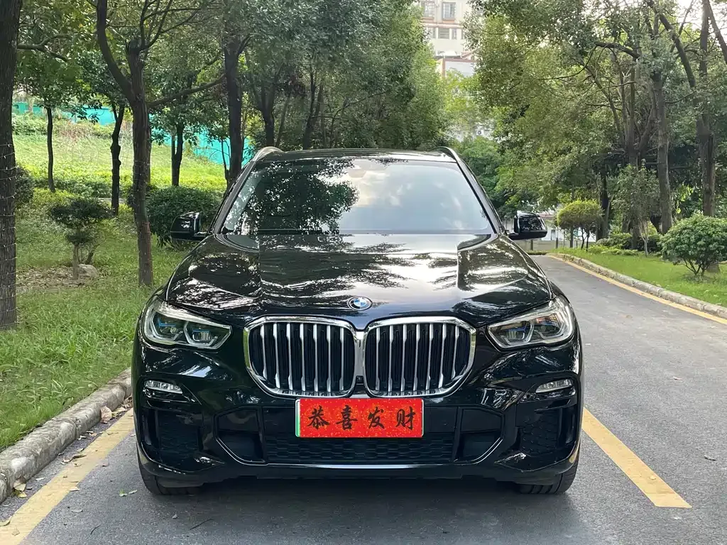 BMW X5 New Energy (Import) 2021 из CN, фото 3
