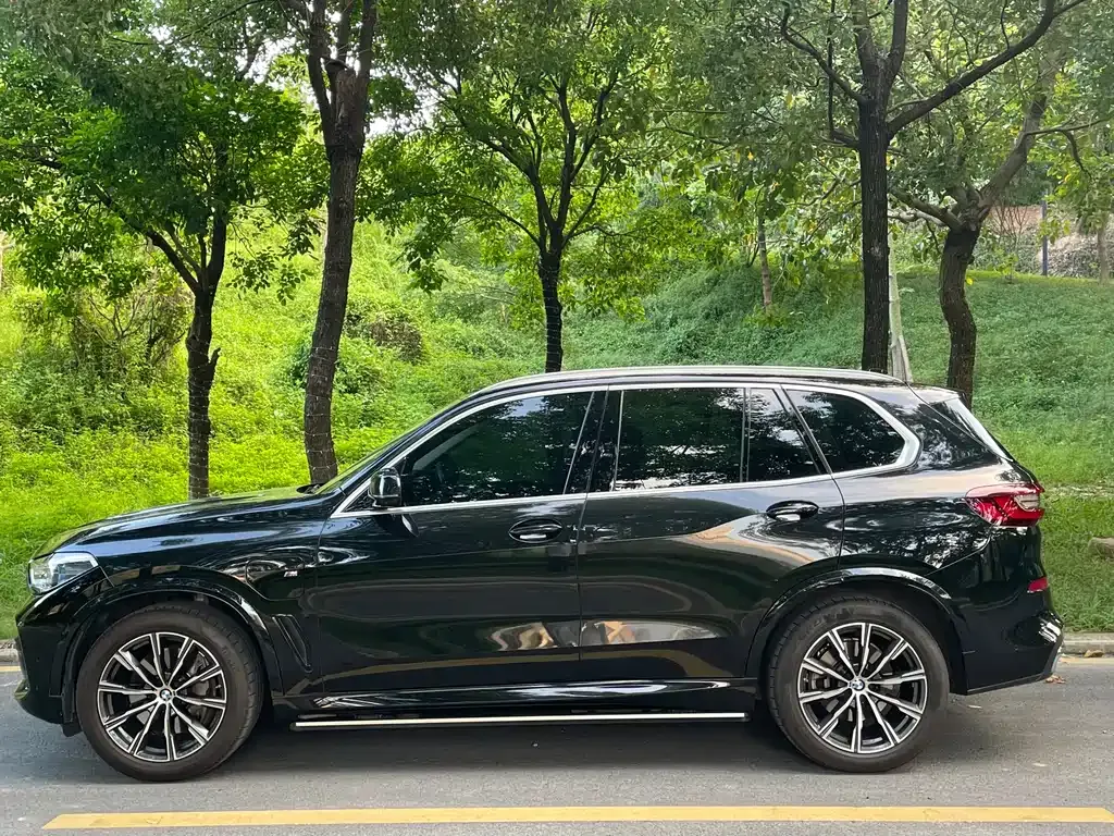 BMW X5 New Energy (Import) 2021 из CN, фото 4