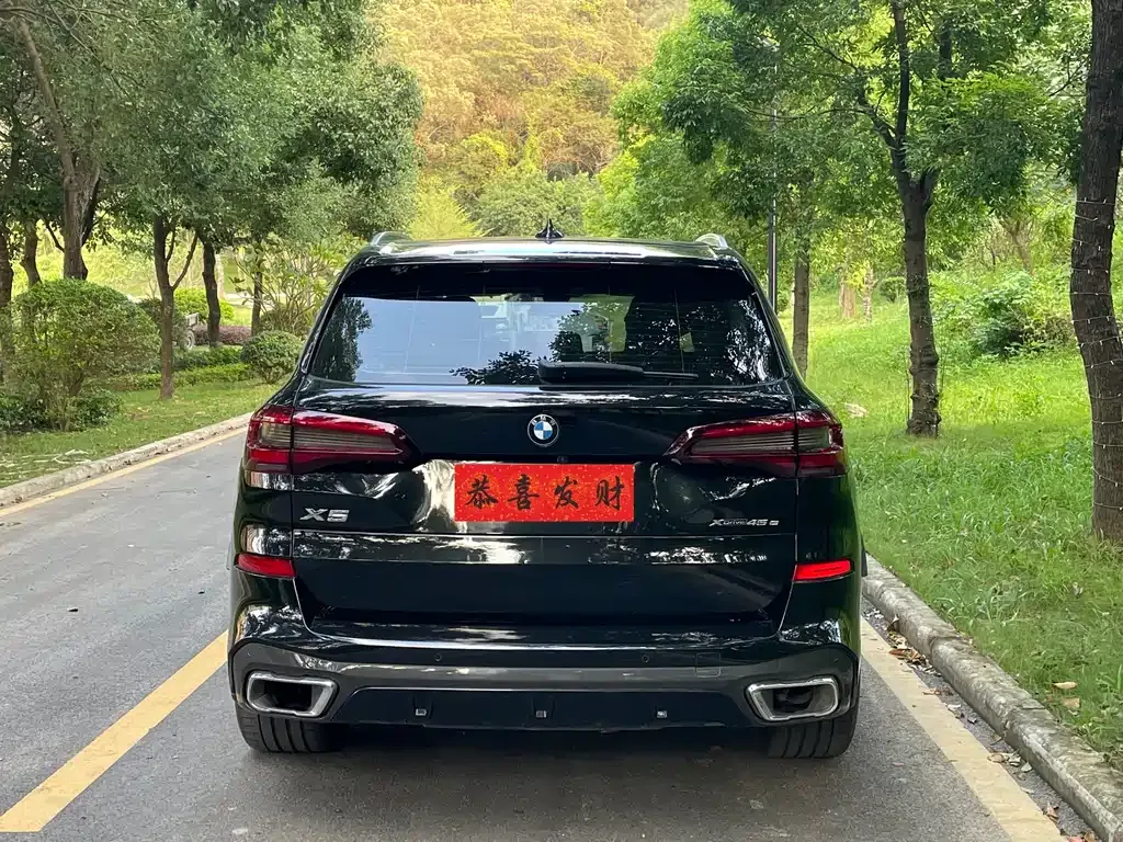 BMW X5 New Energy (Import) 2021 из CN, фото 6