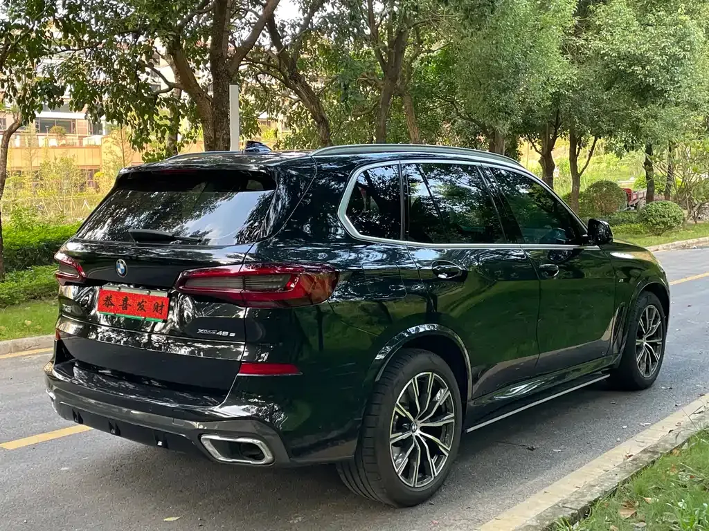 BMW X5 New Energy (Import) 2021 из CN, фото 7