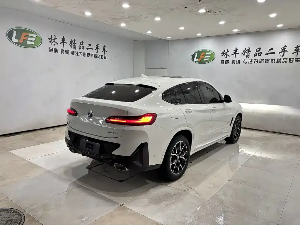 BMW X4 2024 из CN, фото 6