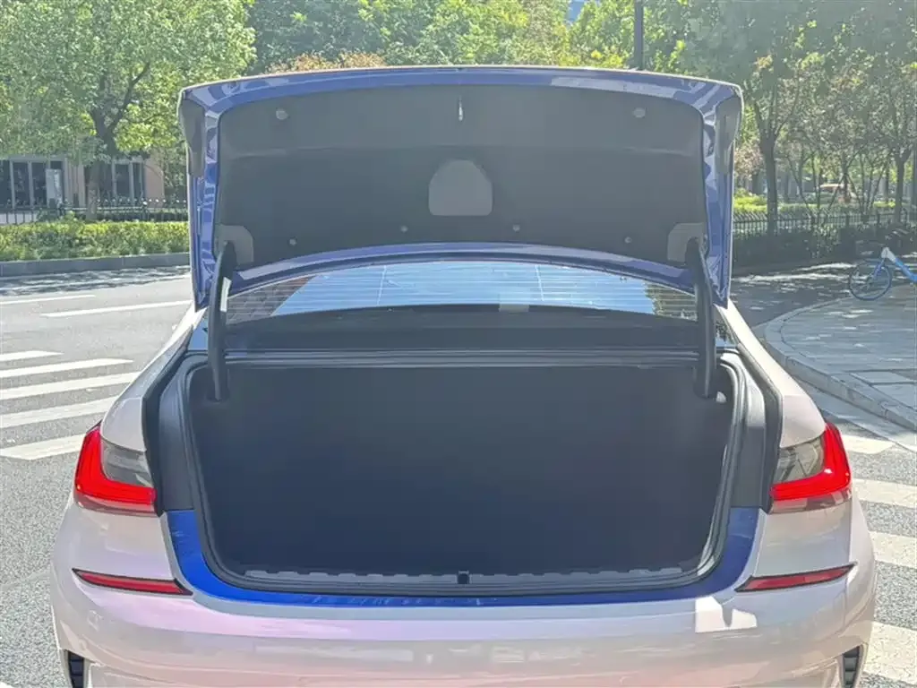 BMW 3 Series 2021 из CN, фото 4