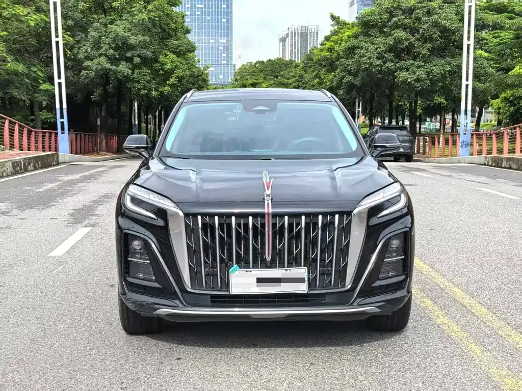 Hongqi HS3 PHEV 2024 из CN, фото 2